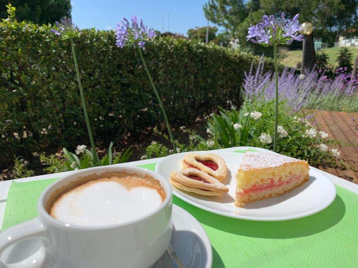 Zia Regina Bed and Breakfast Ripatransone Eksteriør billede